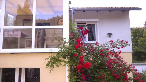 Foto - Einfamilienhaus in Klettbach zum Kaufen
