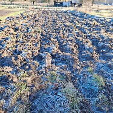 Foto - Grundst&uuml;ck zur Miete in Zierenberg