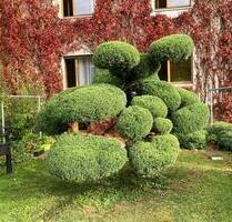 Vermiete 2-Raum-Wohnung im Ziegenhainer Tal - Jena Kernberge