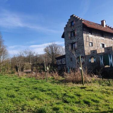 Foto - traumhafte kleine naturnahe Wohnung im Haus Heven