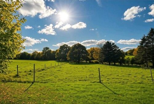 Foto - Helle Räume, grüne Umgebung - 4 Zimmer Wohnung in ländlicher Lage