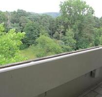 Komplett möblierte 2 Zimmer Wohnung direkt am Wald - Darmstadt Eberstadt