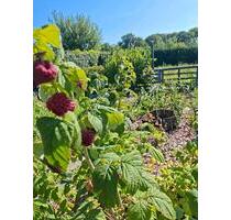 Pachgarten - Im WORBIS - 4.300,00&nbsp;EUR Kaltmiete, ca.&nbsp; 0,00&nbsp;m&sup2; in Heilbad Heiligenstadt (PLZ: 37308)