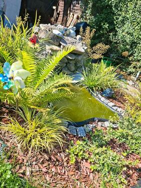 Foto - Grundst&uuml;ck zur Miete in Heilbad Heiligenstadt