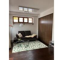 Komfortable TerrassenwohnungApartment möbliert - Ehingen (Donau)