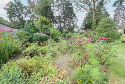 Foto - Einfamilienhaus in Oranienburg zur Miete