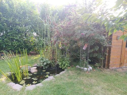 Foto - Haus (Hälfte) 5min.fußläufig Zentrum Bad Harzburg