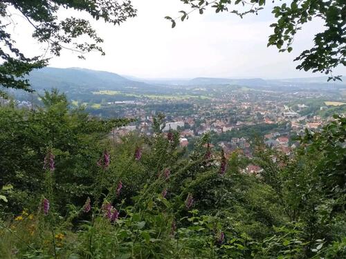 Foto - 7 Zimmer Doppelhaushälfte zum Kaufen in Bad Harzburg