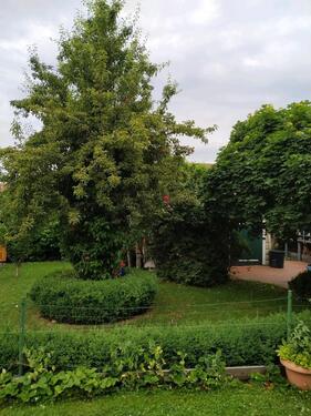 Foto - Doppelhaushälfte in Bad Harzburg zum Kaufen