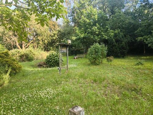 Foto - 4 Zimmer Einfamilienhaus zum Kaufen in Lanitz-Hassel-Tal