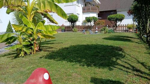Foto - Einfamilienhaus zum Kaufen in Appenweier