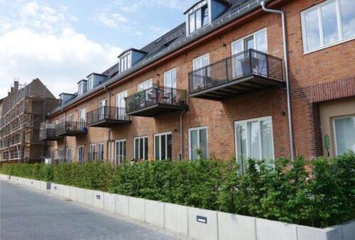 Foto - Etagenwohnung in Potsdam