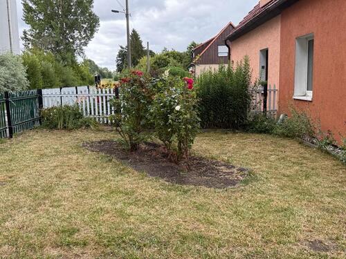 Foto - Doppelhaushälfte in Greifswald zum Kaufen