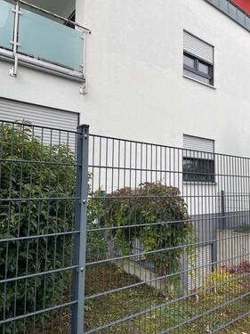Foto - Etagenwohnung zur Miete in Bornheim