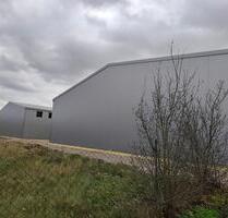 Hallenflächen in Fürstenwalde zu vermieten - Fürstenwalde (Spree)