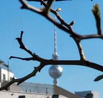 Eigentumswohnung Berlin - provisoinsfrei