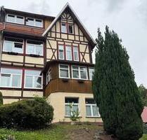 2-Zimmer-Wohnung im Dachgeschoss mit Blick ins Ilsetal! - Ilsenburg (Harz)