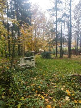 Foto - Garten Schrebergarten Hundewiese Hundeauslauf Hühner Bienen Teich