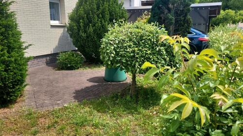 Foto - 3 Zimmer Einfamilienhaus in Hanau