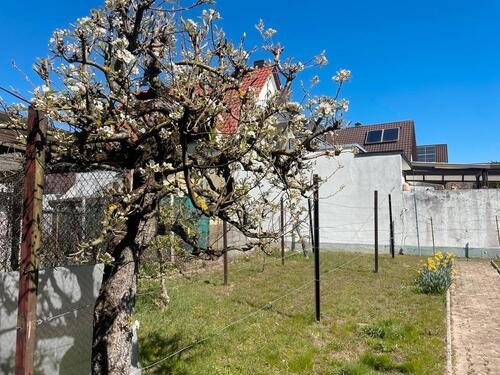Foto - 6.5 Zimmer Einfamilienhaus in Weinheim