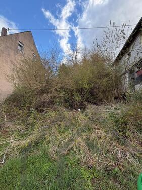 Foto - Zentrales Baugrundstück für Tinyhaus in Ottweiler