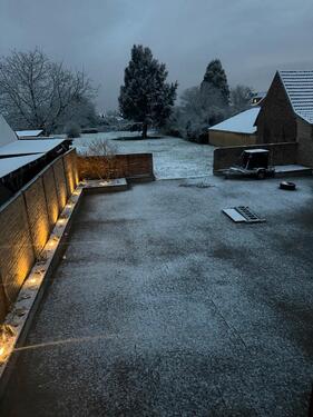 Foto - andere in Bornheim