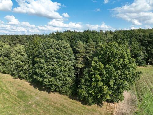 Foto - Grundstück zum Kaufen in Bischofswerda