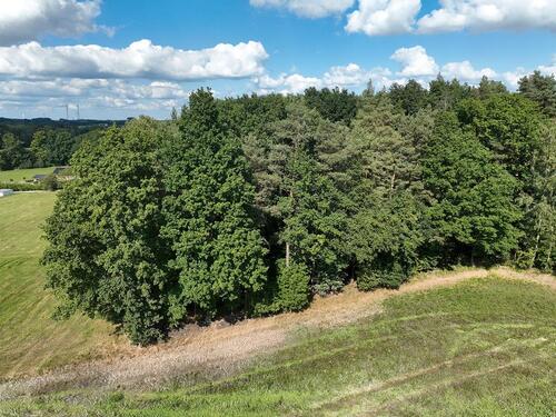 Foto - Grundstück in Bischofswerda