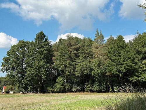 Foto - Grundstück in Bischofswerda zum Kaufen