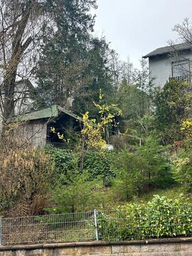 Foto - 5 Zimmer Einfamilienhaus zum Kaufen in Waldfischbach-Burgalben