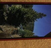 Kleines Wohnhaus im grünen - 175.000,00 EUR Kaufpreis, in Markt Erlbach (PLZ: 91459)