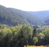 Familienfreundliche 3- Zimmer-Dachgeschosswohnung - Titisee-Neustadt