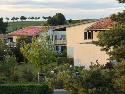 Foto - Traumwohnung am Golfplatz Herzogswalde