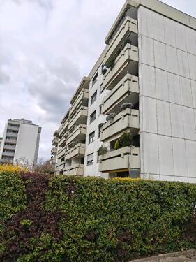 Foto - 1 ZW in Ettlingen Neuwisenreben