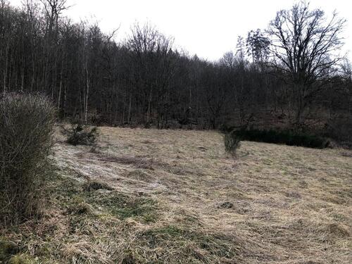 Foto - Grundstück zur Miete in Bad Laasphe