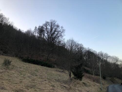 Foto - Grundstück in Bad Laasphe