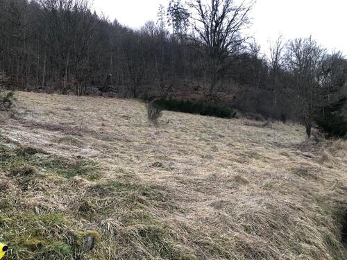 Foto - Grundstück in Bad Laasphe zur Miete