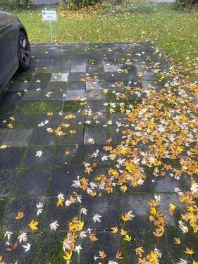 Foto - andere zur Miete in Darmstadt