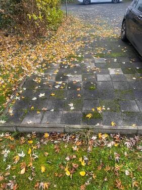 Foto - andere in Darmstadt zur Miete