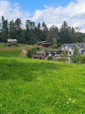 Foto - Singelwohnung - 450,00&nbsp;EUR Kaltmiete, ca.&nbsp; 35,00&nbsp;m&sup2;