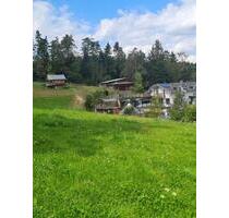 Singelwohnung - 450,00&nbsp;EUR Kaltmiete, ca.&nbsp; 35,00&nbsp;m&sup2; in Saldenburg (PLZ: 94163)