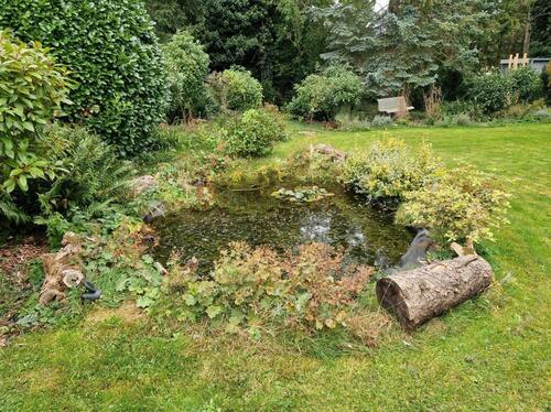 Foto - Einfamilienhaus in Eschweiler zum Kaufen