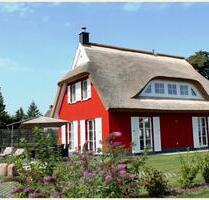 Silvester - Ferienhaus auf Rügen mit Sauna und Kamin - Sülfeld