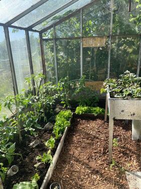 Foto - Grundstück in Schwerin