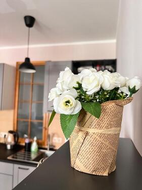 Foto - 1 Raum Apartment mit Einbauküche, möbliert