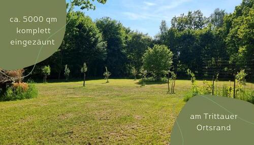 Foto - Eingezäunte Wiese - Hundewiese Freilauf