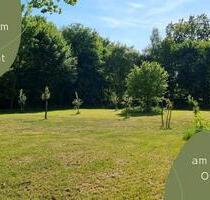 Eingezäunte Wiese - Hundewiese Freilauf - Trittau