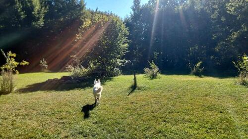 Foto - Grundst&uuml;ck zur Miete in Trittau