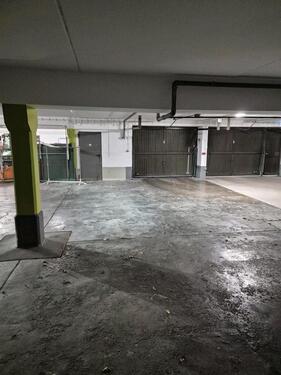 Foto - andere in Haar