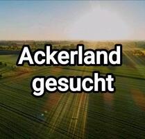 Ackerland Feld Acker Ottersweier Unzhurst Großweier Sasbachried